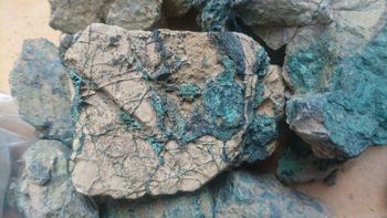 Premium Quality Copper Ore Concentrate Bulk Factory Sale Cu 99% 2% Moisture 7-14 Days Delivery - AGRONOVA - United States