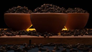 Ceylon Cloves - SPICY CEYLON GLOBAL (PVT) LTD - Sri Lanka