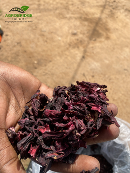 Dried Hibiscus Flower - AGROBRIDGE EXPORT NIGERIA LIMITED - Nigeria