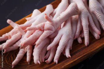 Premium Organic Frozen Chicken Feet Cleaned IQF High Quality Halal Poultry Product for Bulk Distribution - MT Trading GmbH - Germany