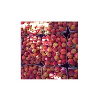 fresh red sweet peaches supply peach yellow stone style storage weight for sale bulk supplies fruit fresh peach - TIFFANY ANDERSON GROUP PTY LTD - South Africa