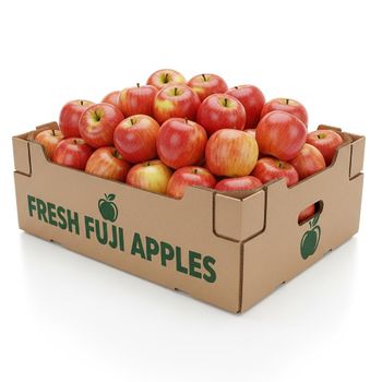 High Quality Fresh Fruit Shipment Featuring Fresh Red Fuji Apple With Secure Packaging - malter group - Tanzania