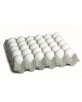 Fresh Chicken Eggs (White and Brown) for Export Organic No Color Brown, White Degree of Processing Chilled Animal Species Chicken, Chickens - AETERNUM ARCANA GROUP Sp. z o.o. - Poland