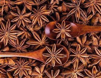 Star Anise Place of Origin Vietnam Packaging Directly packed into container or according to customer's - Thanh Binh stone import-export Joint stock company - Vietnam