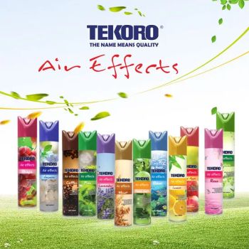 Effectively Different Good Smell Aerosol Air Freshener - Zhongshan Tekoro Car Care Industry Co., Ltd. - China
