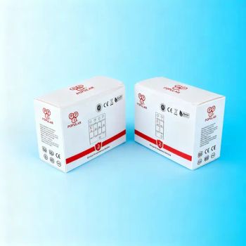 Custom Printed Packaging for Versatile Pet/PVC/PP Plastic Storage Boxes - Wenzhong Lidelong Package Co., Ltd. - China