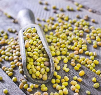 Dried Green Mung Beans Moong Dal Cleaned Polished Nutritious Pulses PP Bags Hot Sale Bulk Packs for Wholesale Retail from AGRONOVA Dried Green Mung Beans Moong Dal Cleaned Polished Nutritious Pulses PP Bags Hot Sale Bulk Packs for Wholesale Retail - AGRONOVA - United States
