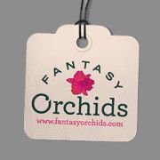 Product from Fantasy Orchids Product - Fantasy Orchids - United States
