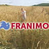 Product - FRANIMO - Netherlands