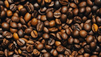 Best Robusta Coffee Grade AAA Place of Origin Kenya Features Gluten-Free, Lactose-Free, Organic, Vegan Origin Asia, China, Egypt, European Continent, European Union, Greece, India, Indonesia, Iran, Italy, Japan, Lebanon, Malaysia, Morocco, National, North America, Other, Philippines, Regional, - Diamond Trading Company Ltd - Kenya