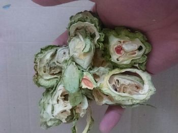 Dried Orange Slices -  Blue Lotus Exim Co., Ltd.  - Vietnam