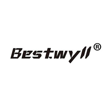 Product - Foshan Baitai Auto Accessories Co., Ltd. - China