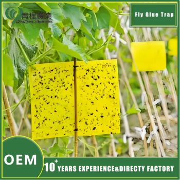 Effective Fly Killer Glue Board for Garden Pest Control - Chongqing Qing Cheng Agricultural Science and Technology Co., Ltd. - China