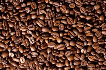 Coffee & Coffee Bean from sunflower Coffee & Coffee Bean - sunflower - Vietnam
