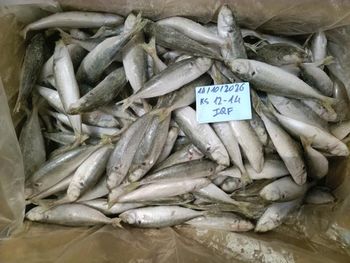 Frozen Round or Layang Scad from libra Frozen Round or Layang Scad – product photo, Whole Frozen Chicken products found from trusted suppliers, wholesalers, manufacturers & exporters Listing