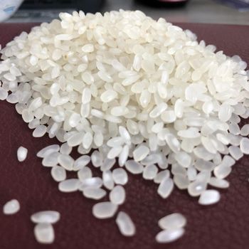 Premium Japonica Rice 10kg 25kg Fresh Short Grain Rice Clean White Grain Soft Sticky Texture Perfect For Family Kitchen And Small Food Business Buy Today Fast Delivery Wholesale - wood traders - Poland