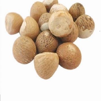 High Quality Raw Betel Nuts Packed For Overseas Shipment With Careful Sorting And Export Ready from malter group High Quality Raw Betel Nuts Packed For Overseas Shipment With Careful Sorting And Export Ready - malter group - Tanzania