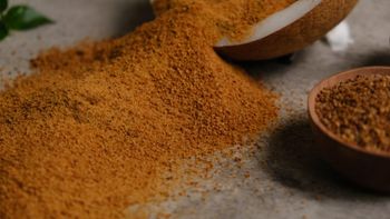 Wholesale and Bulk Organic Coconut Sugar for Baking and Beverages - CV Realsa - Indonesia