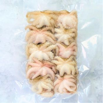Frozen Fresh Octopus Carefully Processed For Natural Taste Preservation And Reliable Supply For Seafood Importers - TOSOH INTERNATIONAL - South Africa