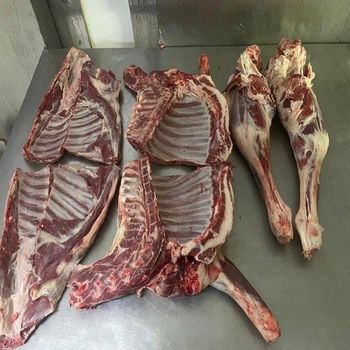 Premium Frozen Beef Carcass for Food Processing Restaurants Wholesale Supply with Consistent Quality - TRADECENTRIC LLC - United States