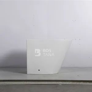 European Style Floor Mounted Sanitary Wares Bathroom Ceramic Female Bidet - CHAOZHOU BOSTANA SANITARYWARE CO., LTD. - China