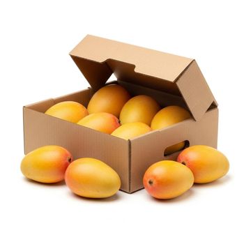 Fresh Mango Handpicked Orchard Harvest With Vibrant Flavor Uniform Size And Excellent Packing Performance For Export - TOSOH INTERNATIONAL - South Africa