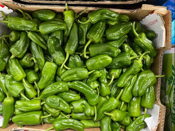 SUPERIOR FRESHNESS RICH FLAVOR CAPSICUMS GREEN,RED AND YELLOW PAPRIKA EXPORT QUALITY FOR FOOD PREPARATION 10Kg PACKS - Sosa Merchant Solutions - Austria