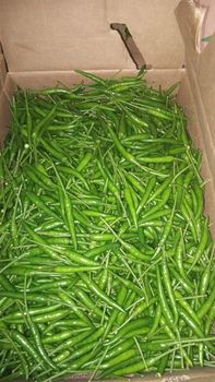 habaneros thais long chilies shishitos scotch bonnets - AGROMARVELA - Dominican Republic