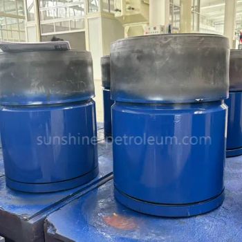 Petroleum Cementing Tools Industry Stab-in Float Collar Shoe Trademark None Material Alloy Factory Visit Yes Use Cementing - Hebei Sunshine Petroleum Machinery Co., Ltd - China