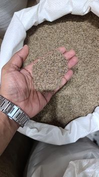 Cumin Seeds Price Per Bag Usd 76.24 Order Quantity 800 Bags - ATS Best Food Trading - United Arab Emirates