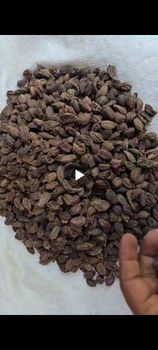 Black cardamom from SUPER PLASTIC Black cardamom - SUPER PLASTIC - India