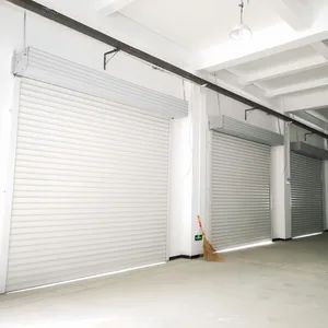 Warehouse External Entrance Steel Iron Rolling Shutter Wind-Resistant Doors Security Metal Gates - Shanghai Torque Industrial Co., Ltd - China