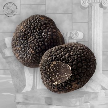 Fresh Black Truffle Uncinatum Grade A Harvest Season Autumn Flavor Earthy And Nutty Aroma Delicate And Aromatic Application Shaved Over Pasta, Risotto, And Eggs - Agora Tasioulas - Switzerland
