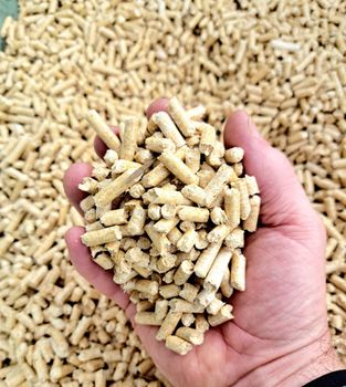 Premium Pine Wood Pellets EN Plus A1 Pellet Wood 15kg Bags 4900 Kcal/kg Beech Best Wood Pellets for Sale