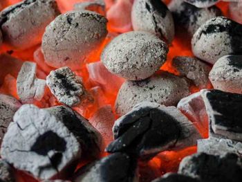 Charcoal - 100% Best Quality/High quality Charcoal and charcoal for sale natural coconut shell coal compressed from AGRONOVA Charcoal - 100% Best Quality/High quality Charcoal and charcoal for sale natural coconut shell coal compressed - AGRONOVA - United States