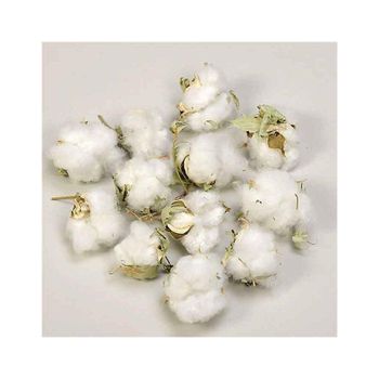 Natural raw cotton for yarn production in large supply Type A, Foil Screen Printing - MASI TRADING GMBH - Germany