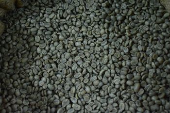 Arabic coffee – product photo, Arabic Coffee products found from trusted suppliers, wholesalers, manufacturers & exporters Listing