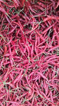 Dry Red Chillies from Vunnam Agro Exports Dry Red Chillies - Vunnam Agro Exports - India