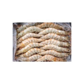 Premium Wholesale Frozen White Shrimp Frozen Red Sea Size M Prawn - BMU TRADING GMBH - Germany