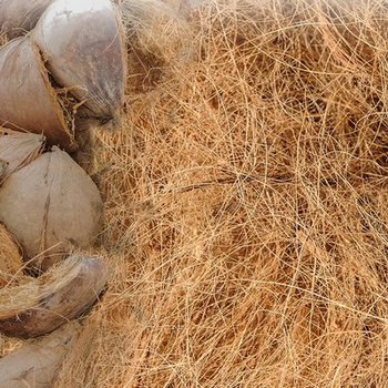 Raw Coconut Fiber - Eco-Friendly Material - VIET FARGIMEX COMPANY LIMITED - Vietnam
