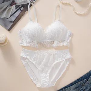 Women Lingerie Bra Set Distributor Antibacterial Fabric Comfortable Hollow Underwear Set - Shantou City Chaonan District Chendian Nuoshiting Knitted Underwear Trading Company - China