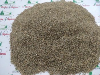 Celery Seeds - Sinhal Herbs  - India