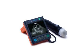 Ultrasound Machine for Accurate Pregnancy Tests in Swine and Pets - Xuzhou Kaixin Electronic Instrument Co., Ltd. - China