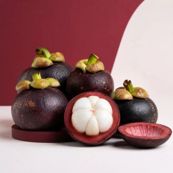Mangosteen - PT Sumber Niaga Alam Sejahtera - Indonesia