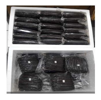 Black Vanilla Beans ,Premium Gourmet Top Grade, Madagascar Premium Quality Vanilla Beans – product photo, Black Matpe Beans products found from trusted suppliers, wholesalers, manufacturers & exporters Listing