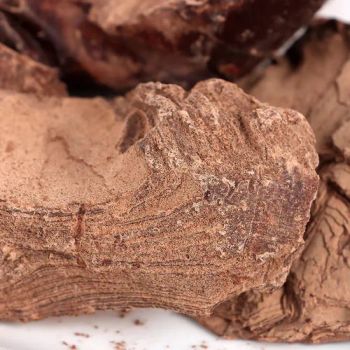 Cocoa Beans-Raw Forastero from Bah&Co-Comodities Cocoa Beans-Raw Forastero - Bah&Co-Comodities - Ivory Coast