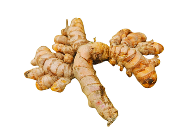 Turmeric - Saujana Kerta Global - Indonesia