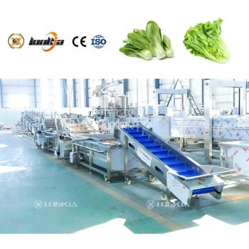 Vegetable Bubble Washer Fruit Washing Machine Bubble Fresh Salad Washing Machine - Zhucheng Lonkia Co., Ltd - China
