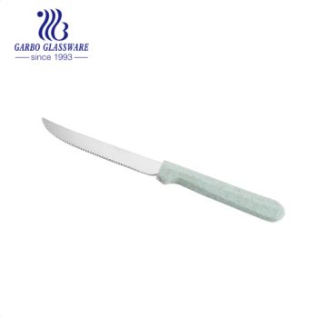 Stainless Steel Dinner Knife Wheat Straw Plastic Handles Green Color Handle Steak Knives Flatware - Guangzhou Garbo International Trading Co., Ltd. - China