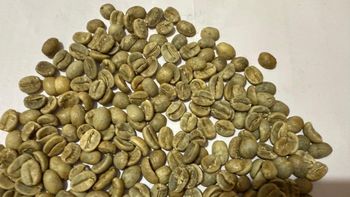 Green Coffee Beans Place of Origin India Roasting Status Unroasted Flavor Character Natural And Robust Consistency High Consistency Across Batches - JKPD INDUSTRIES PRIVATE LIMITED  - India